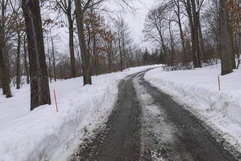 A long private driveway curving between mature bare trees, one plowed lane down the center and deep snow on both shoulders