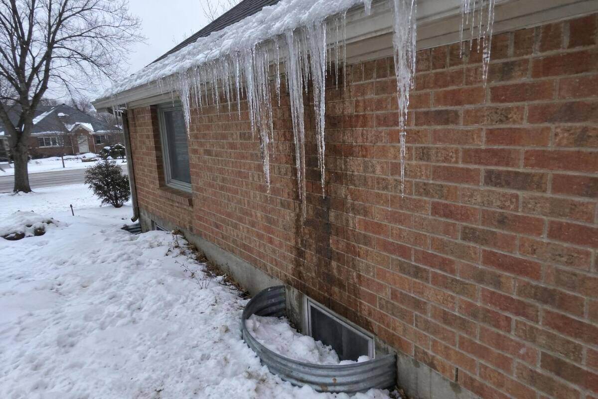 Thick icicles along a gutter edge above a basement window well filled with snow at the foundation of a brick house