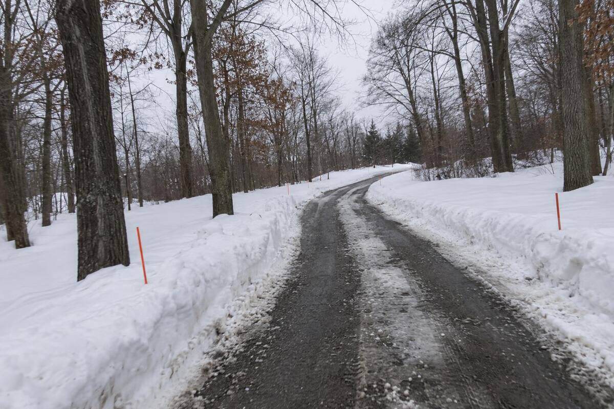 A long private driveway curving between mature bare trees, one plowed lane down the center and deep snow on both shoulders